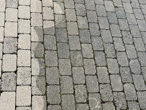 Schatten einer Katze auf grauen Pflastersteinen.