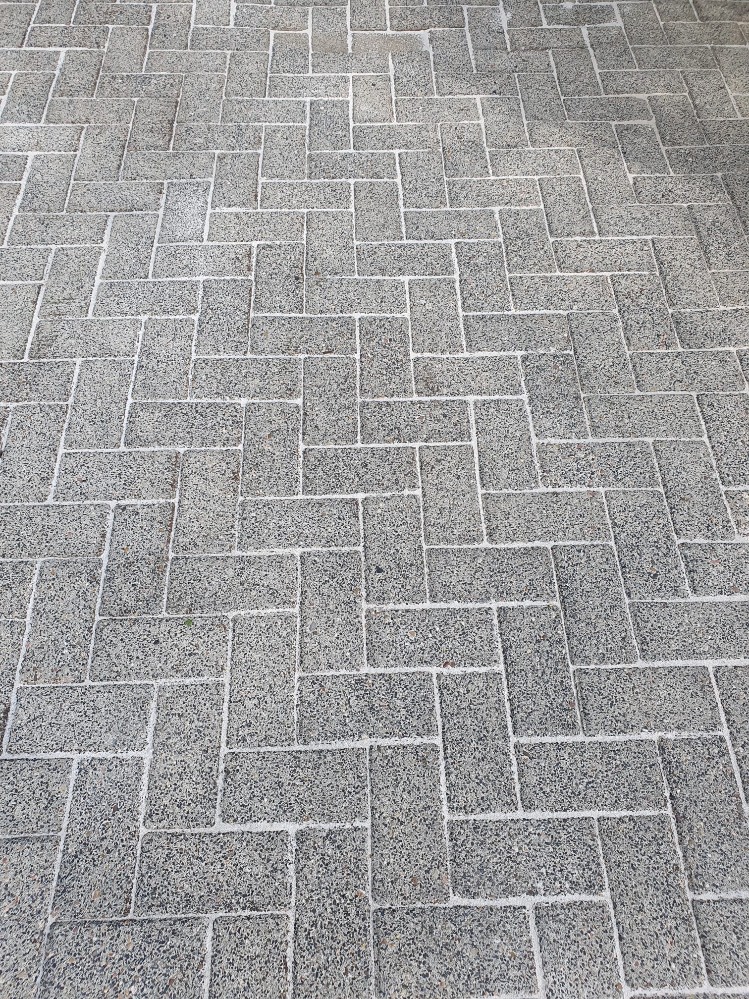 Grauer Pflastersteinboden mit hellem Mörtel in gleichmäßiger Fischgrätoptik