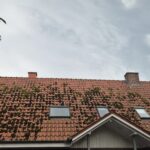 Rotes Ziegeldach mit dunklen Moosflecken und drei Fenstern unter bewölktem Himmel