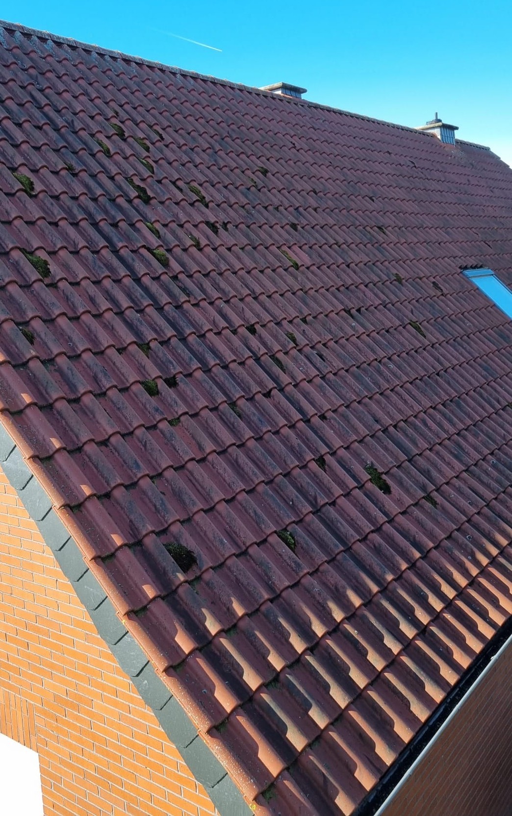 Ein Ziegeldach mit roten Dachziegeln und teils grünen Moosflecken bei Tag