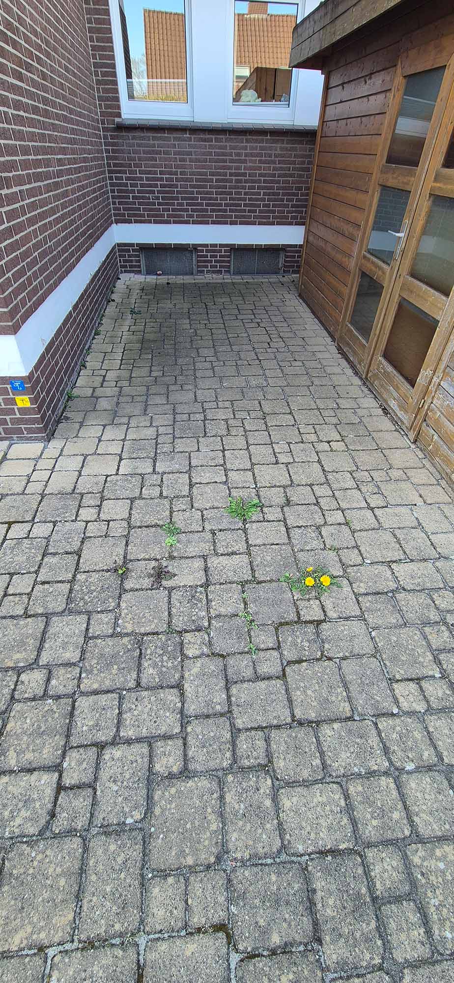Gepflasterter Hof mit vereinzeltem Unkraut und gelben Blüten neben einem Holzschuppen