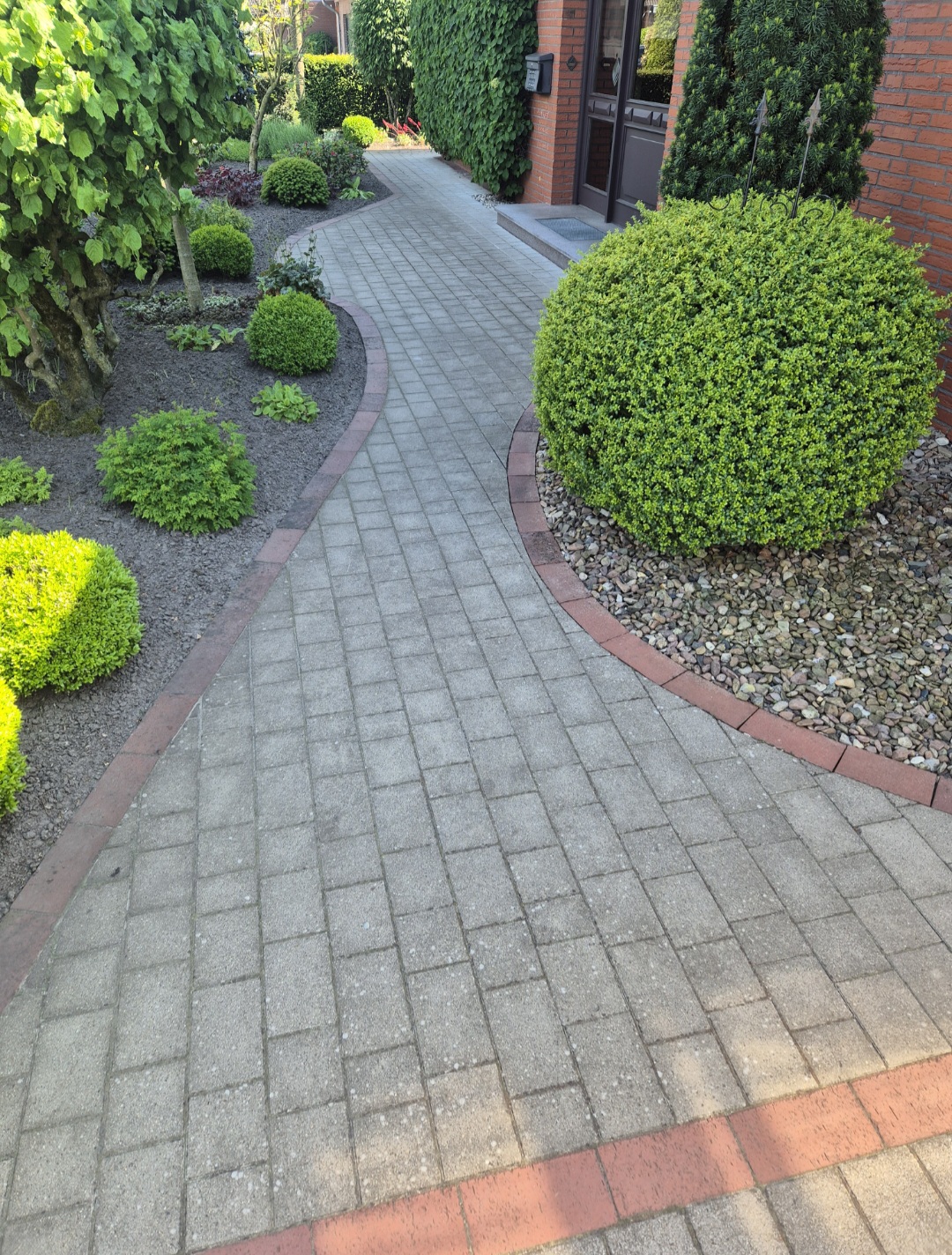 Gepflegter Gartenweg mit grauen Pflastersteinen und sattgrünen rund geschnittenen Sträuchern