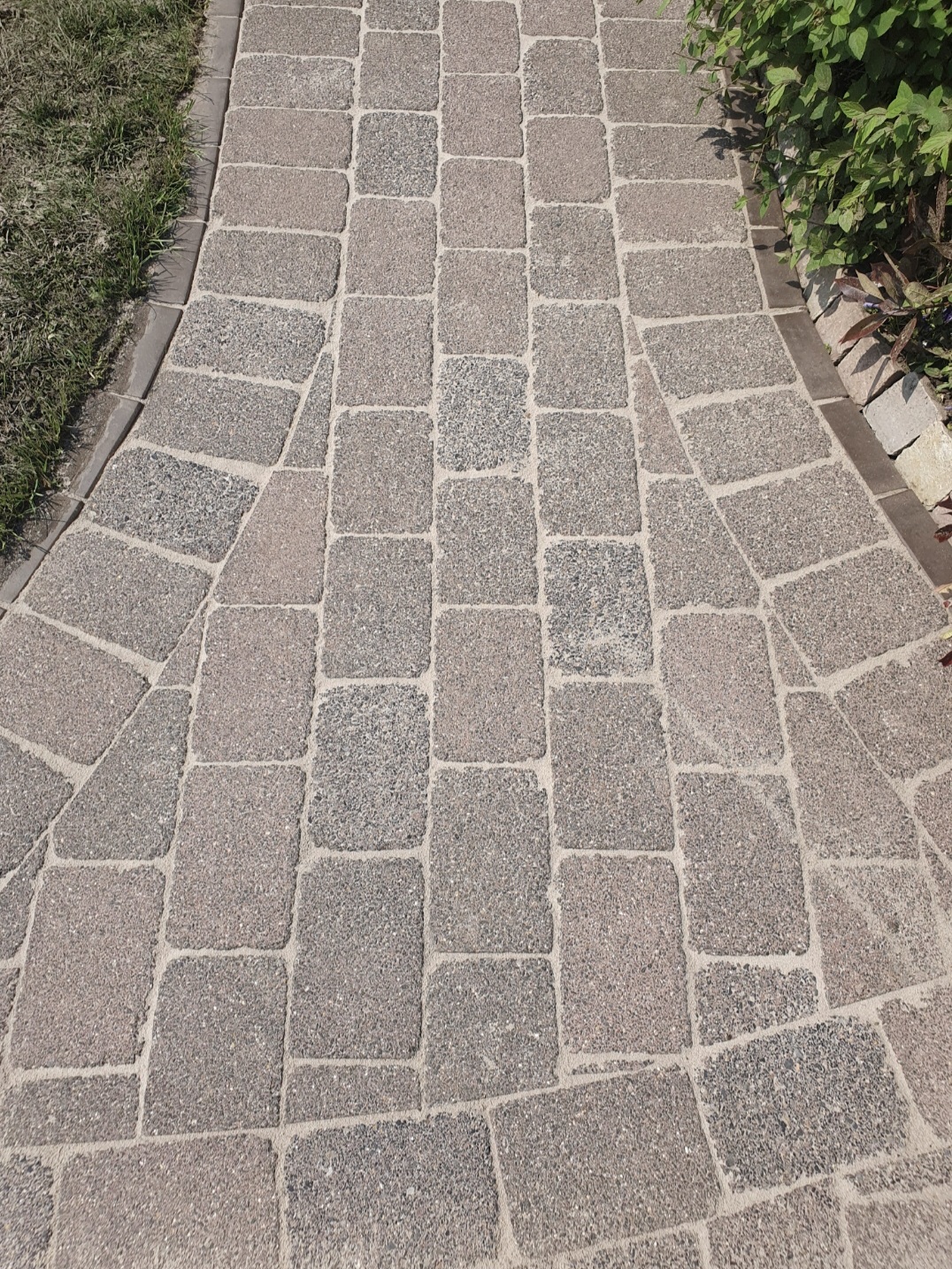 Ein gepflasterter Gehweg aus grauen und rosafarbenen Steinen mit grünen Pflanzen rechts