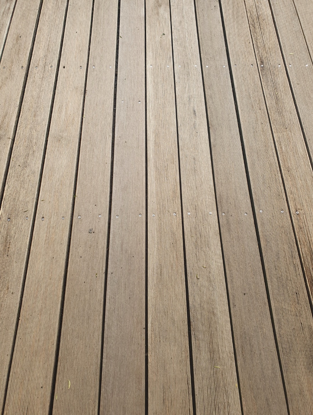 Holzterrasse mit langen braunen Dielen und feiner Maserung in warmem Licht