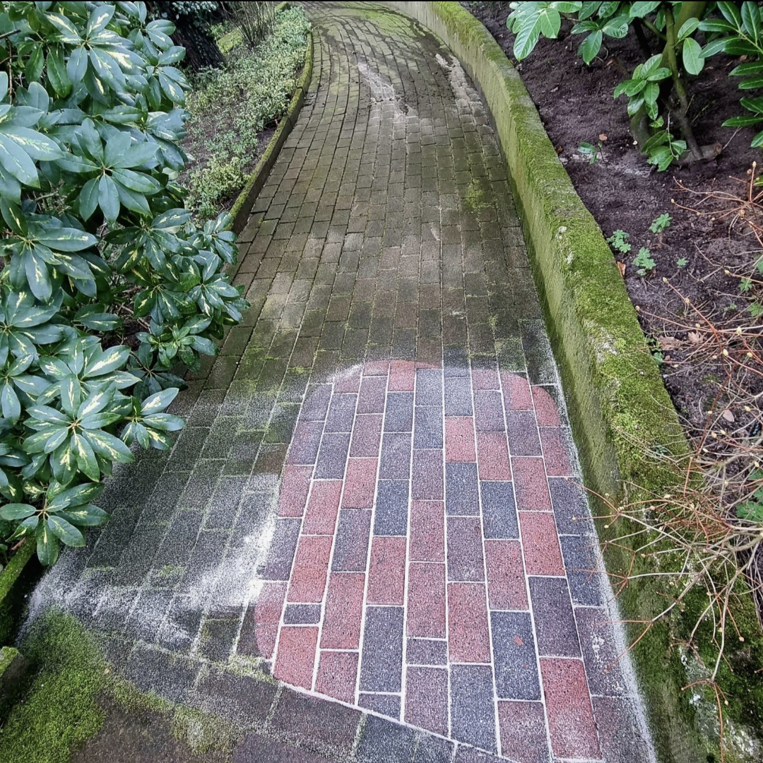 Ein gepflasterter Weg mit farblich abgesetztem Bereich und umliegendem grünen Moos