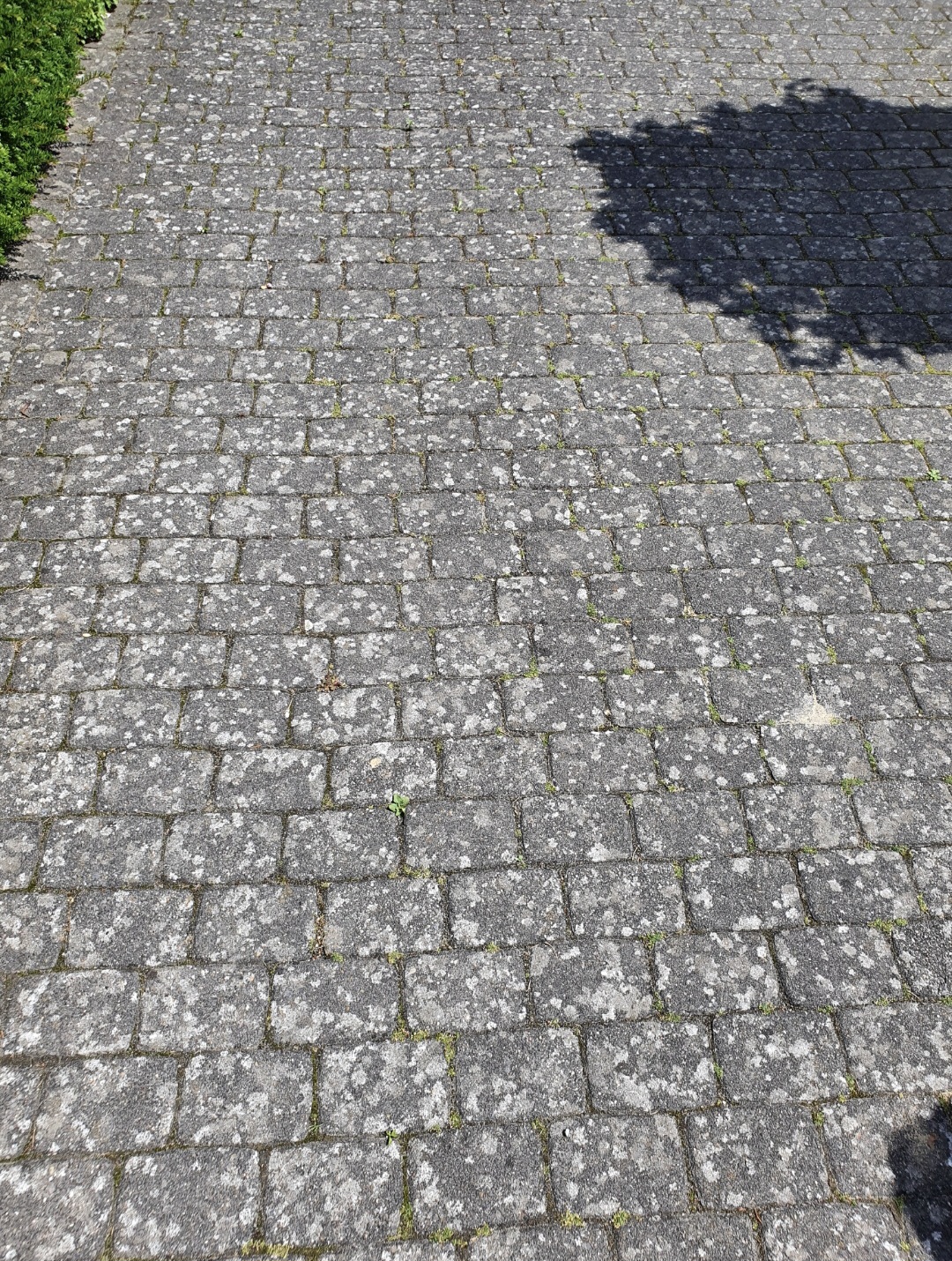 Graue gepflasterte Fläche mit etwas Grün am Rand und einem Schattenspiel oben rechts