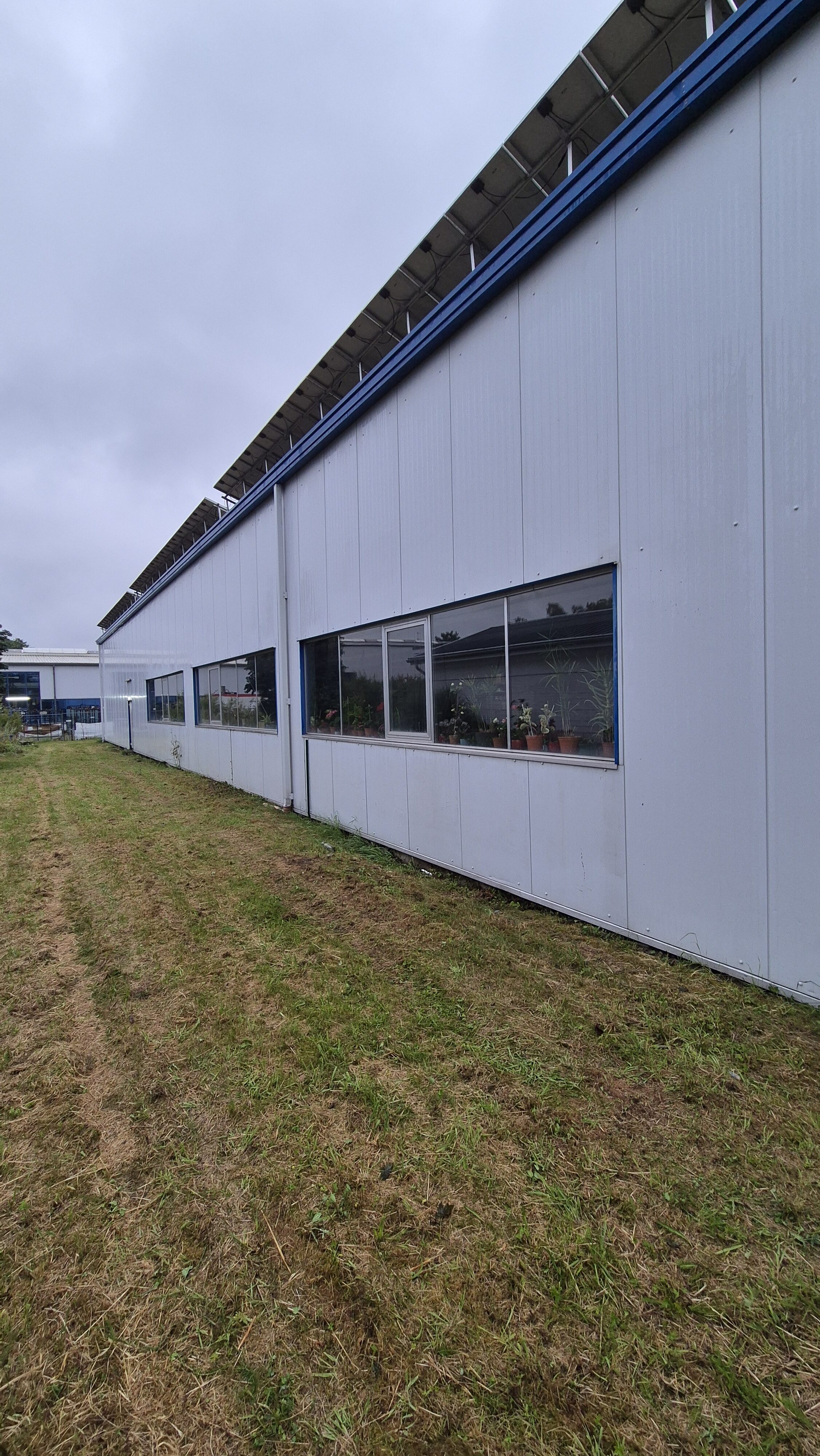 Langes weißes Industriegebäude mit großen Fenstern und Pflanzen hinter dem Glas