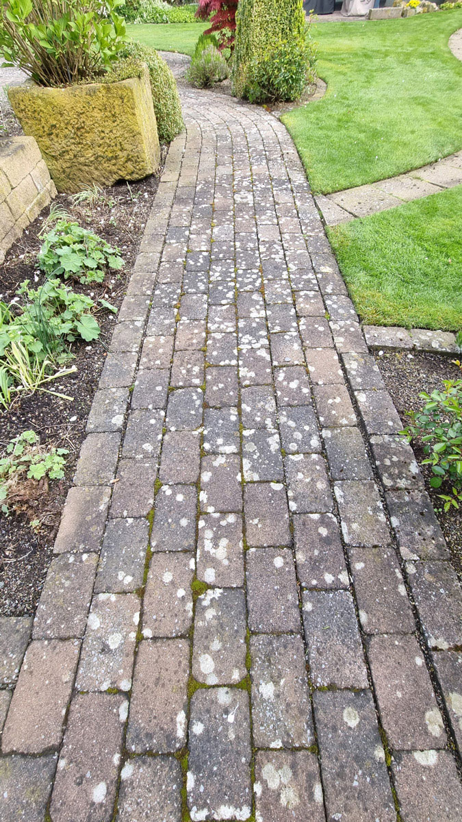 Ein mit hellen Flecken überzogener gepflasterter Weg windet sich durch einen grünen Garten